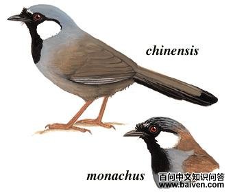 �ں����̵�ͼ��