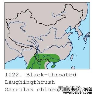 �ں����̵ĵ����ֲ�ͼ