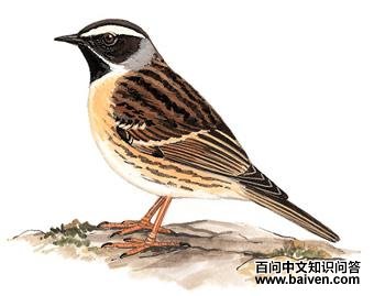 �ں����ҵ�ͼ��