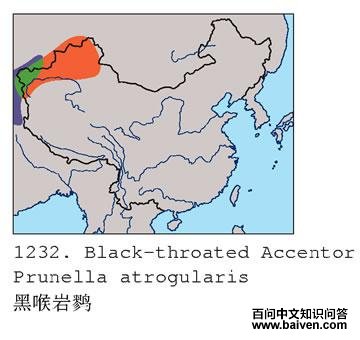 �ں����ҵĵ����ֲ�ͼ