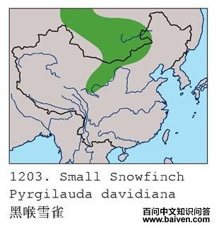 �ں�ѩȸ�ĵ����ֲ�ͼ