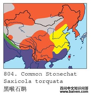 �ں�ʯ�S�ĵ����ֲ�ͼ