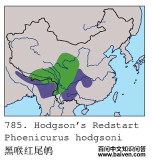 �ں���β�ĵ����ֲ�ͼ