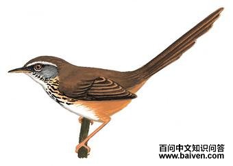 �ں�ɽ��ݺ��ͼ��