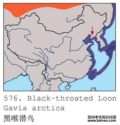 �ں�Ǳ��ĵ����ֲ�ͼ