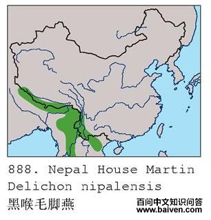 �ں�ë����ĵ����ֲ�ͼ