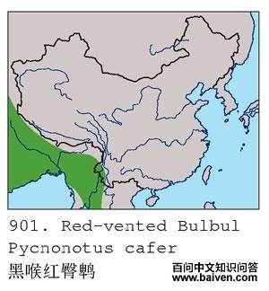 �ں������ǵĵ����ֲ�ͼ