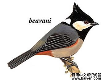 �ڹ�ɽȸ��ͼ��