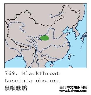 �ں����ĵ����ֲ�ͼ