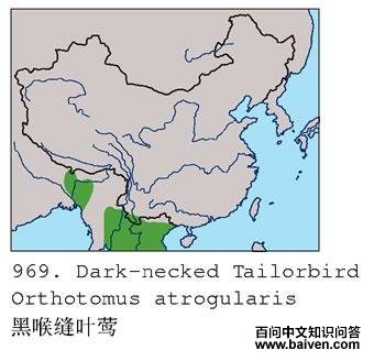 �ں���Ҷݺ�ĵ����ֲ�ͼ