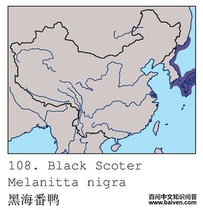 �ں���Ѽ�ĵ����ֲ�ͼ