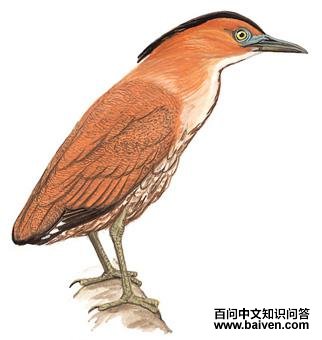 �ڹ��Z��ͼ��