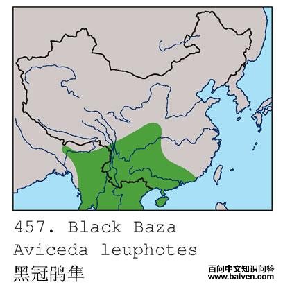 �ڹھ����ĵ����ֲ�ͼ