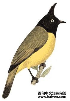 �ڹڻ��ǵ�ͼ��