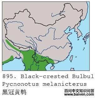 �ڹڻ��ǵĵ����ֲ�ͼ