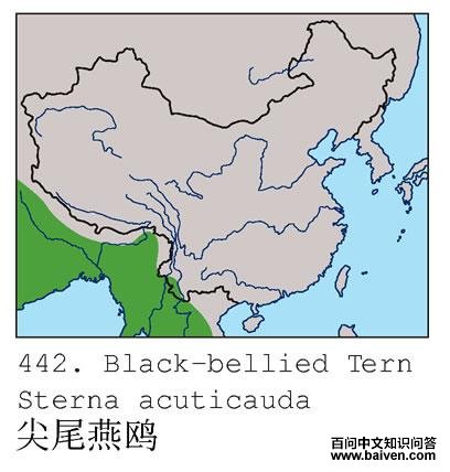 �ڸ���Ÿ�ĵ����ֲ�ͼ