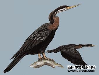 �ڸ����õ�ͼ��