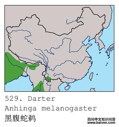 �ڸ����õĵ����ֲ�ͼ