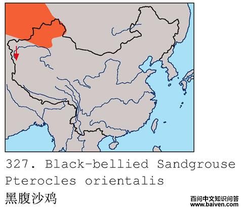 �ڸ�ɳ���ĵ����ֲ�ͼ