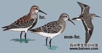 �ڸ����ֵ�ͼ��