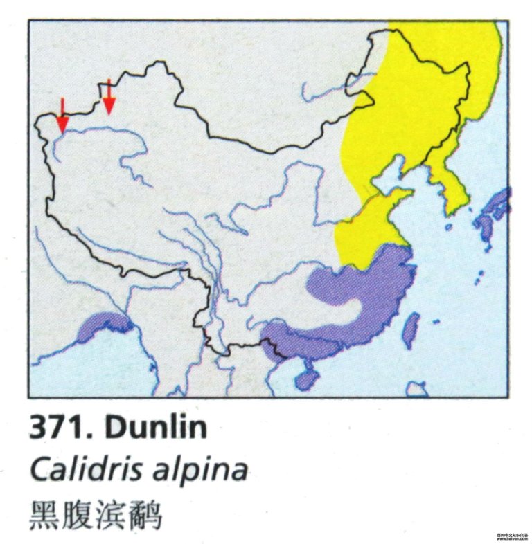 �ڸ����ֵĵ����ֲ�ͼ