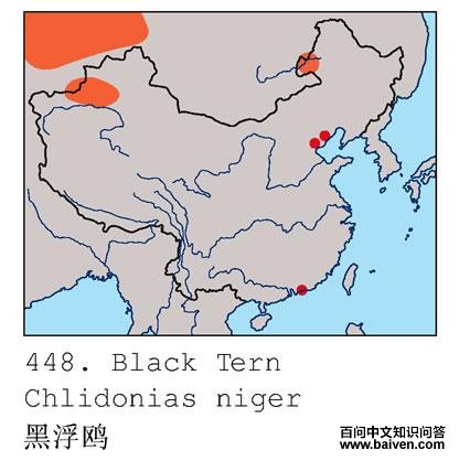 �ڸ�Ÿ�ĵ����ֲ�ͼ