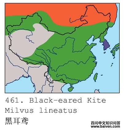 �ڶ��ĵ����ֲ�ͼ