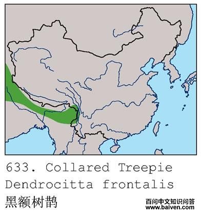 �ڶ���ȵ�ĵ����ֲ�ͼ