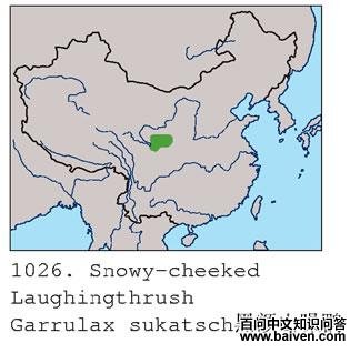 �ڶ�ɽ���̵ĵ����ֲ�ͼ