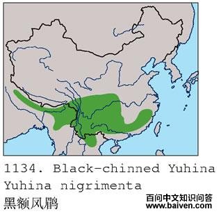 �ڶ���̵ĵ����ֲ�ͼ