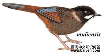 �ڶ����̵�ͼ��