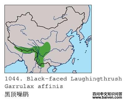 �ڶ����̵ĵ����ֲ�ͼ