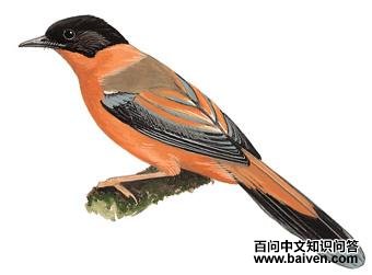 �ڶ����̵�ͼ��