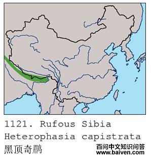 �ڶ����̵ĵ����ֲ�ͼ