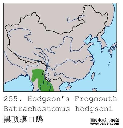 �ڶ����ĵ����ֲ�ͼ