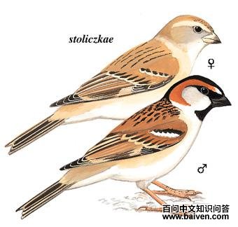 �ڶ���ȸ��ͼ��