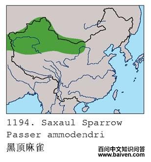 �ڶ���ȸ�ĵ����ֲ�ͼ