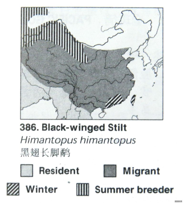 �ڳ᳤���ֵĵ����ֲ�ͼ