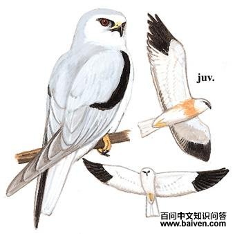 �ڳ���ͼ��