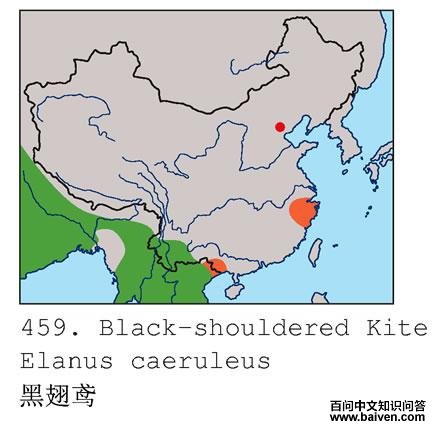 �ڳ��ĵ����ֲ�ͼ