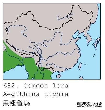 �ڳ�ȸ�ǵĵ����ֲ�ͼ