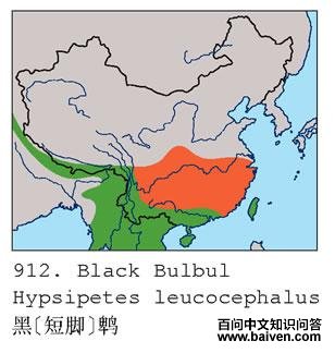 ��[�̽�]�ǵĵ����ֲ�ͼ