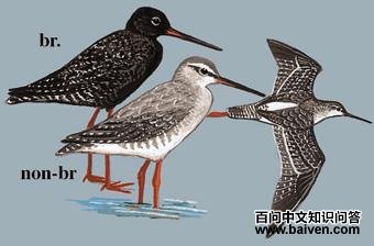 ���ֵ�ͼ��