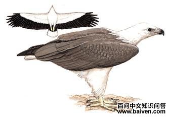 �׸������ͼ��