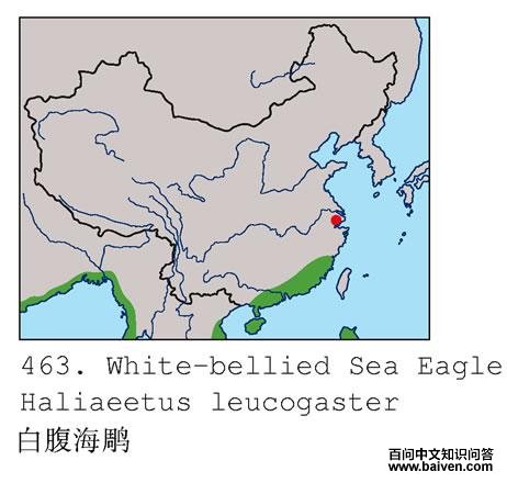 �׸�����ĵ����ֲ�ͼ