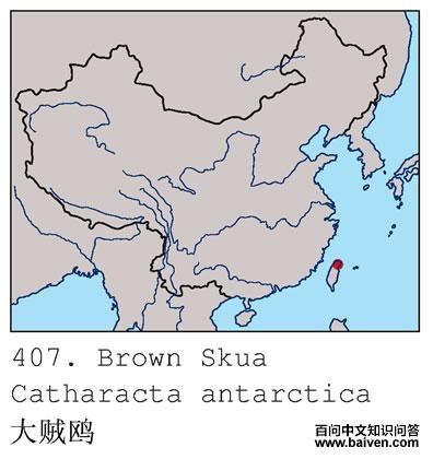 ����Ÿ�ĵ����ֲ�ͼ