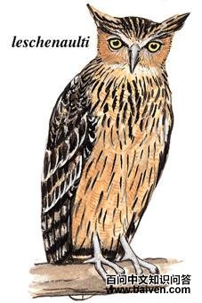 �����^��ͼ��