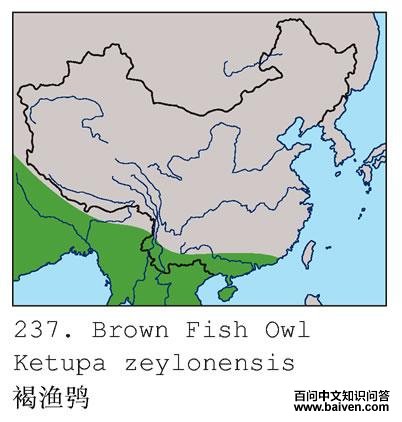 �����^�ĵ����ֲ�ͼ