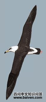 �ڱ������̵�ͼ��