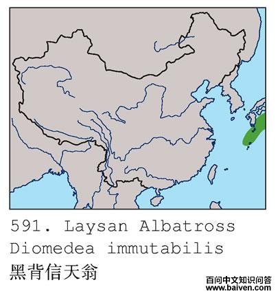 �ڱ������̵ĵ����ֲ�ͼ